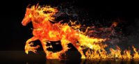 Kommt 5G im Galopp?