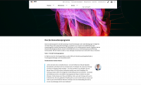 Screenshot Webseite BMVI