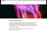 Screenshot Webseite BMVI